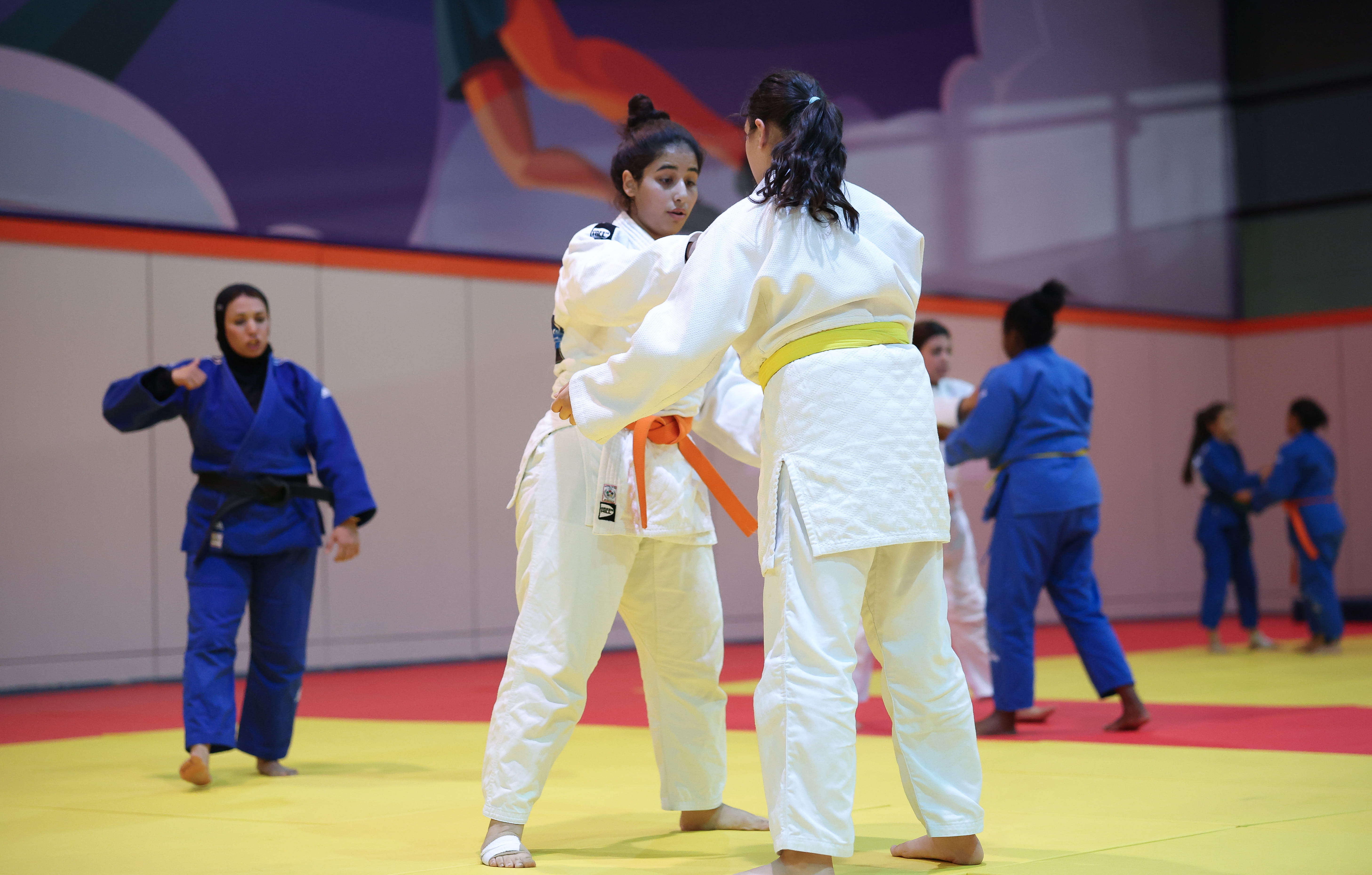 تجارب أداء الجودو (2012-2018)